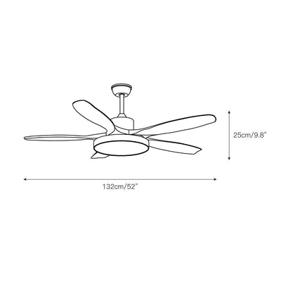 Teriinena Ceiling Fan Light