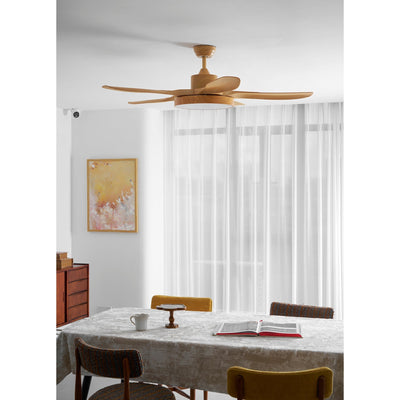 Teriinena Ceiling Fan Light