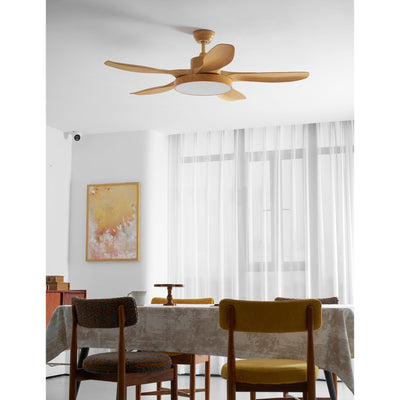 Teriinena Ceiling Fan Light