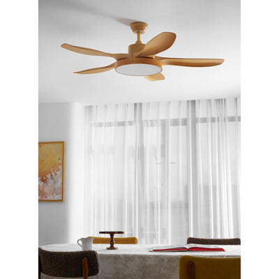 Teriinena Ceiling Fan Light