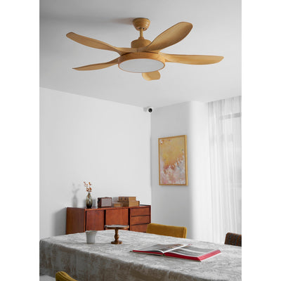 Teriinena Ceiling Fan Light