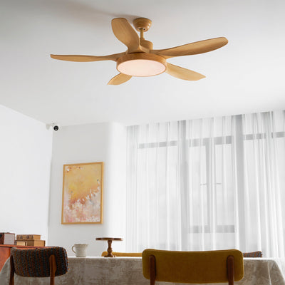 Teriinena Ceiling Fan Light