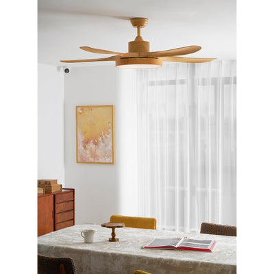 Teriinena Ceiling Fan Light