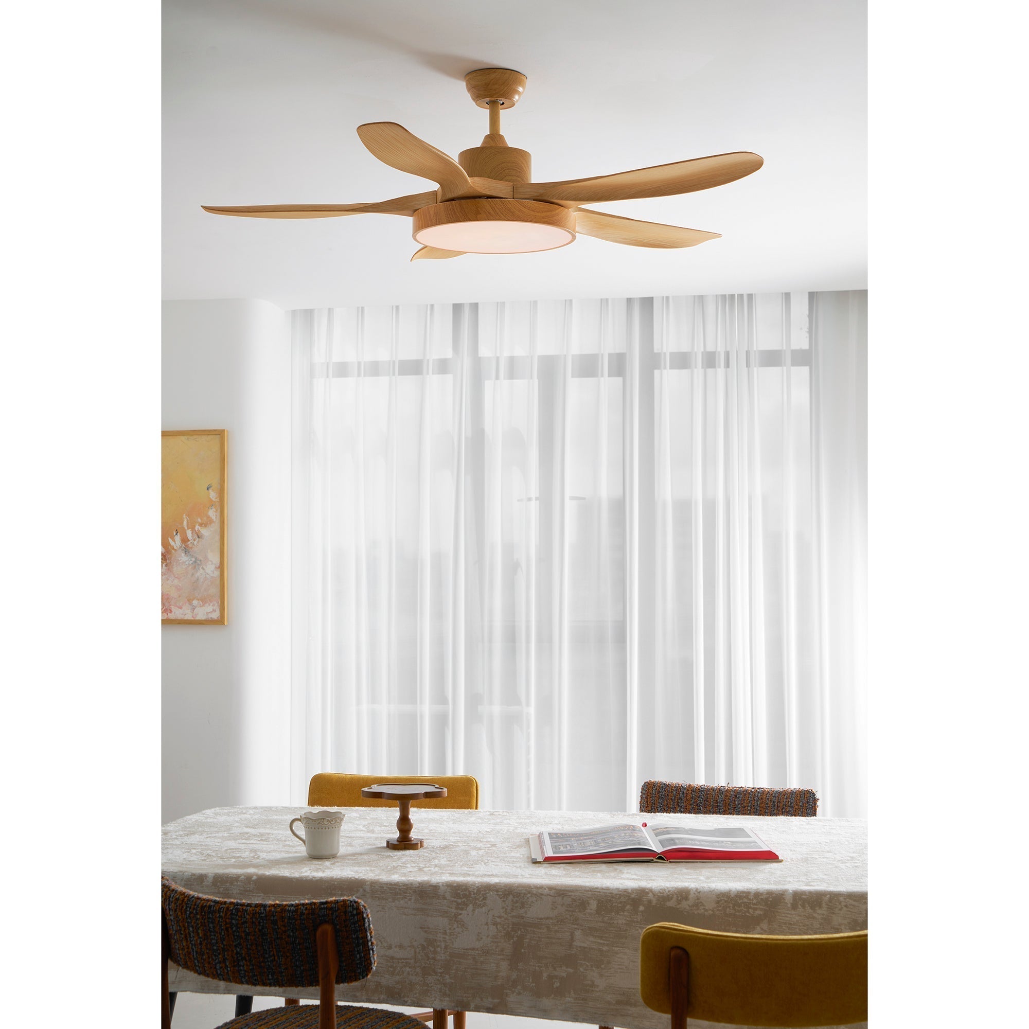 Teriinena Ceiling Fan Light