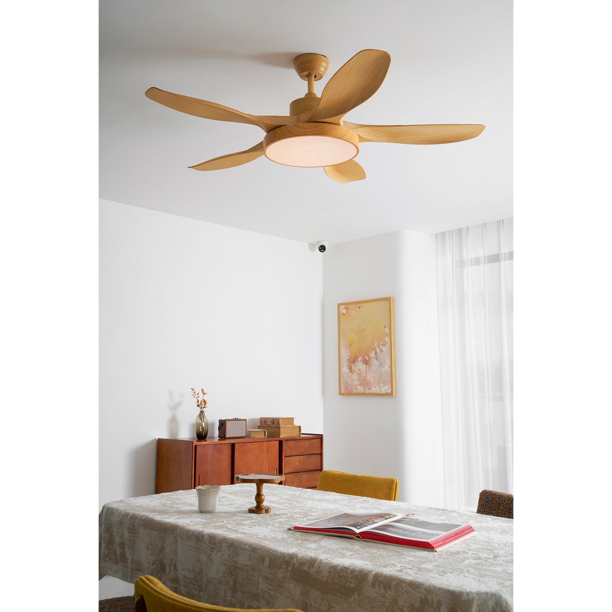 Teriinena Ceiling Fan Light