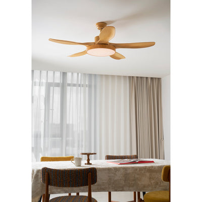 Teriinena Ceiling Fan Light