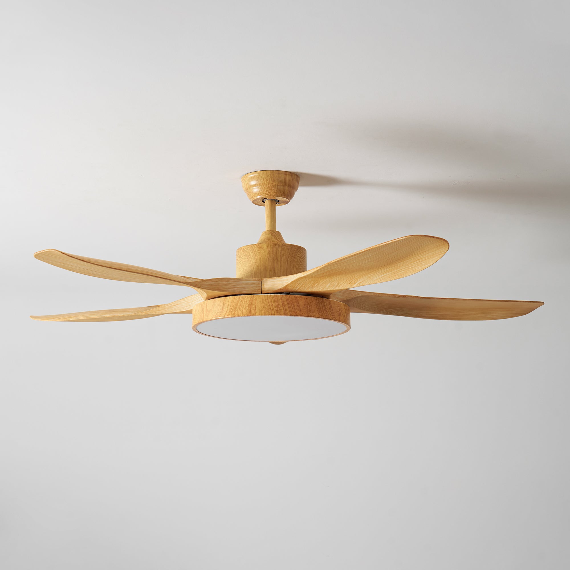Teriinena Ceiling Fan Light
