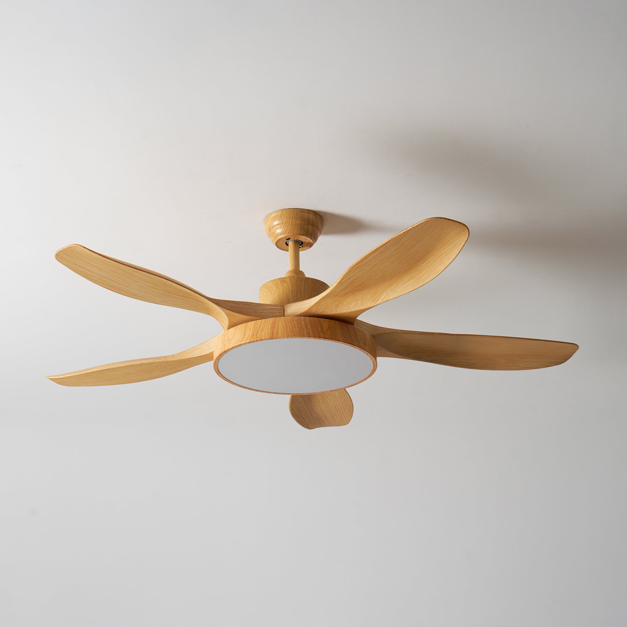 Teriinena Ceiling Fan Light