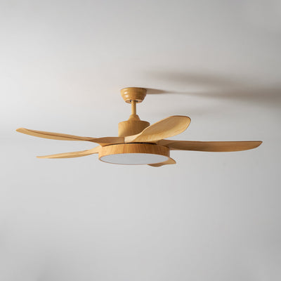 Teriinena Ceiling Fan Light