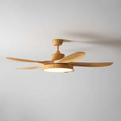 Teriinena Ceiling Fan Light