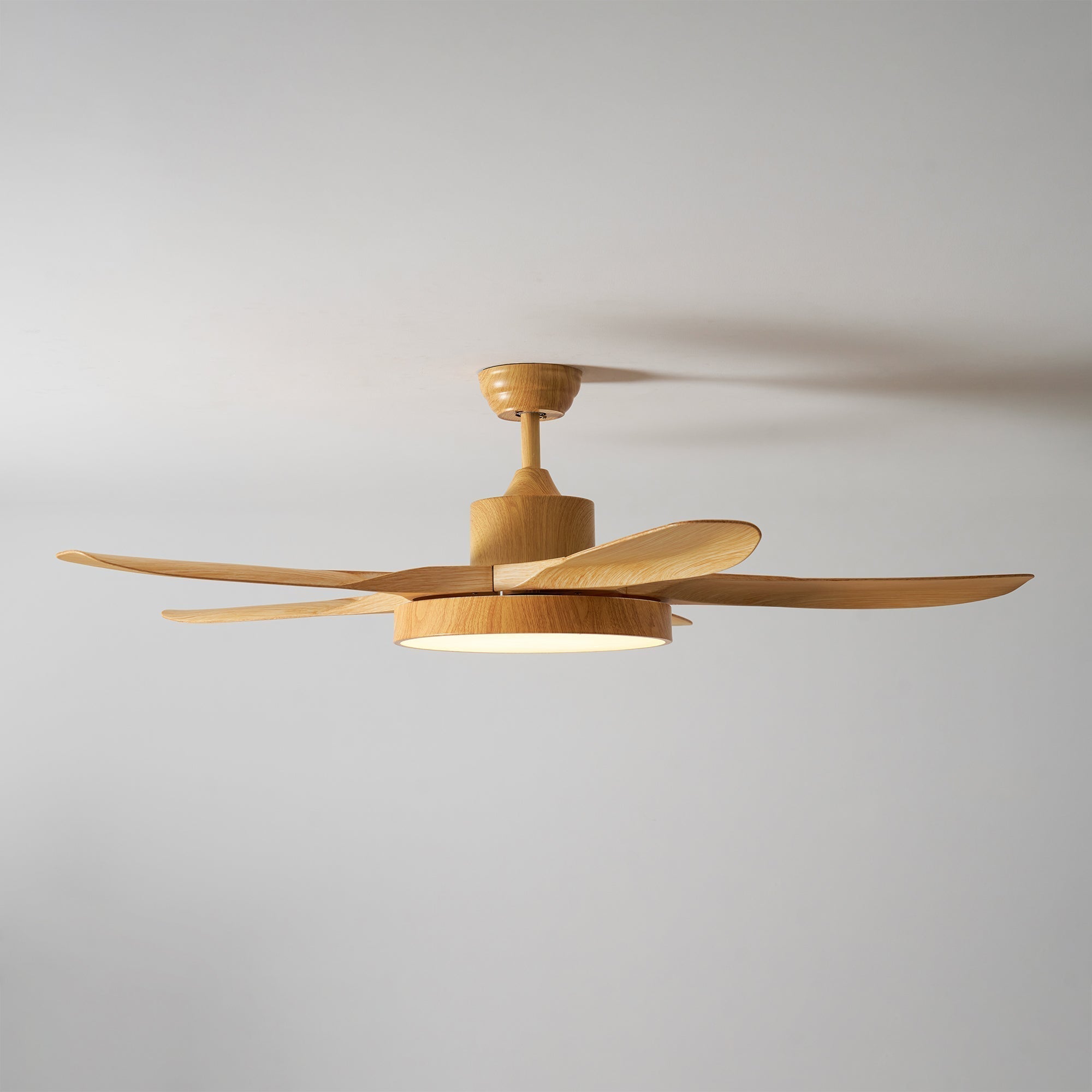 Teriinena Ceiling Fan Light
