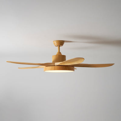 Teriinena Ceiling Fan Light