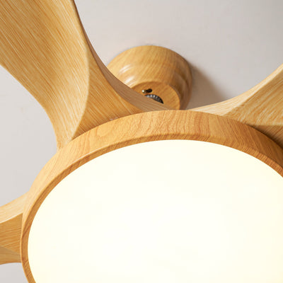 Teriinena Ceiling Fan Light