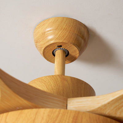 Teriinena Ceiling Fan Light