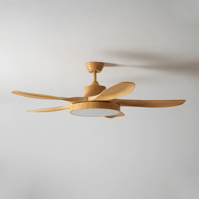 Renalella StillWind Ceiling Fan Light