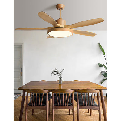 Teriinena Ceiling Fan Light