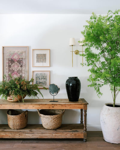 Lioranella Wall Lamp
