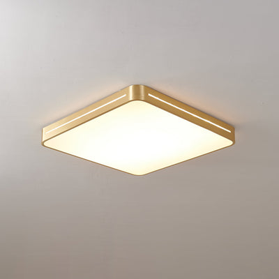 Eurcarara Modern Minimalist Brass Ceiling Light
