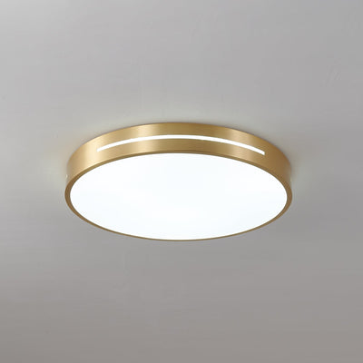 Eurcarara Modern Minimalist Brass Ceiling Light