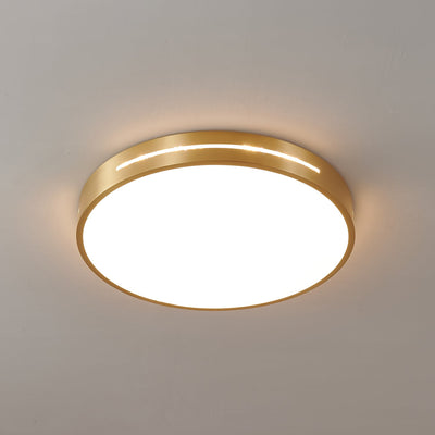 Eurcarara Modern Minimalist Brass Ceiling Light