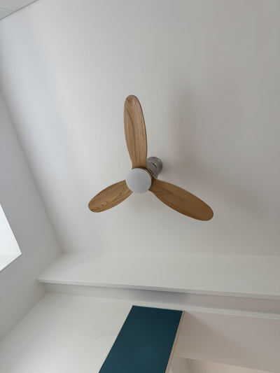 Rivaraine Ceiling Fan Light