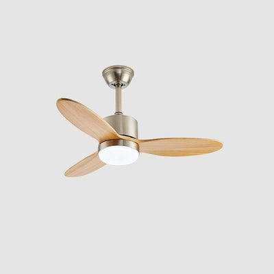 Rivaraine Ceiling Fan Light