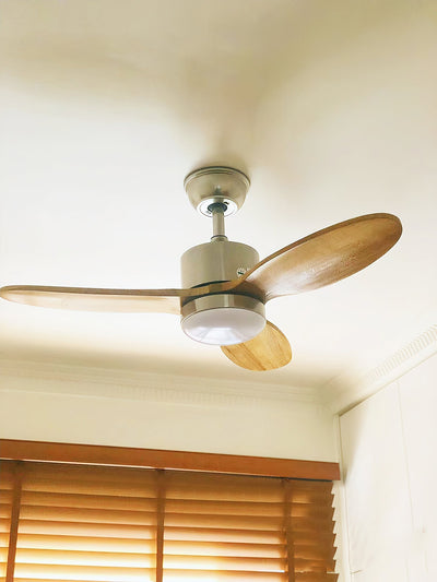 Rivaraine Ceiling Fan Light