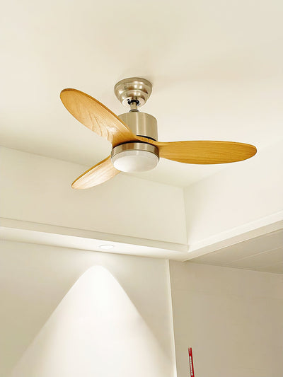Rivaraine Ceiling Fan Light