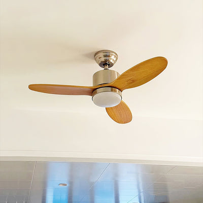 Rivaraine Ceiling Fan Light