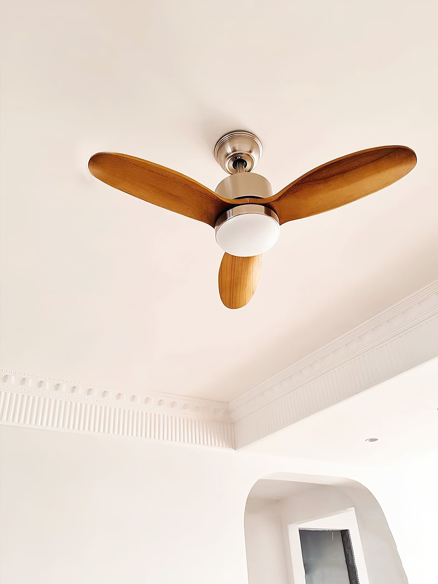 Rivaraine Ceiling Fan Light