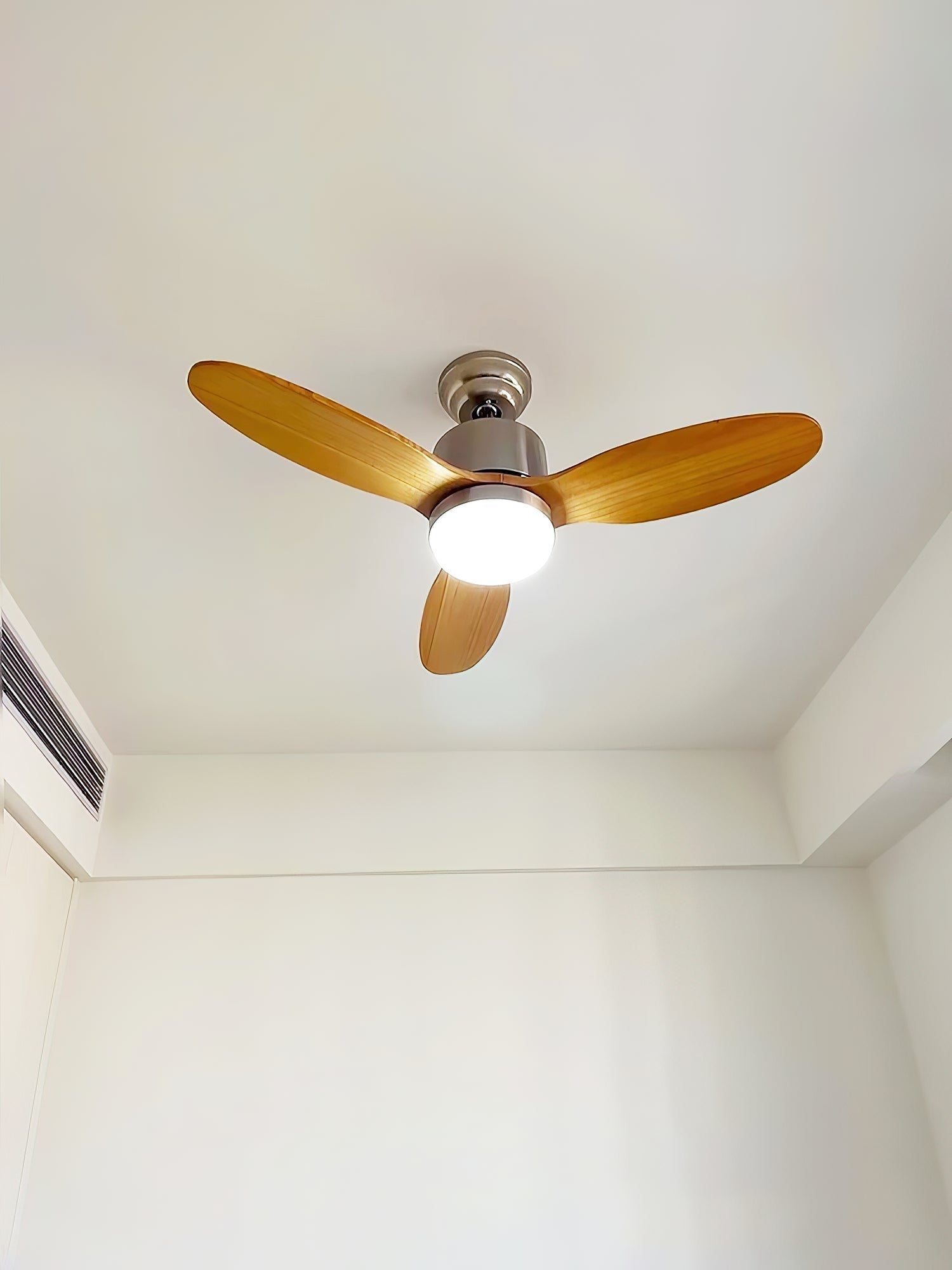 Rivaraine Ceiling Fan Light