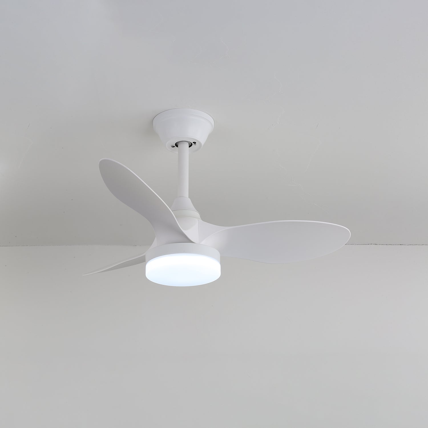 Aelric Modern Ceiling Fan Light