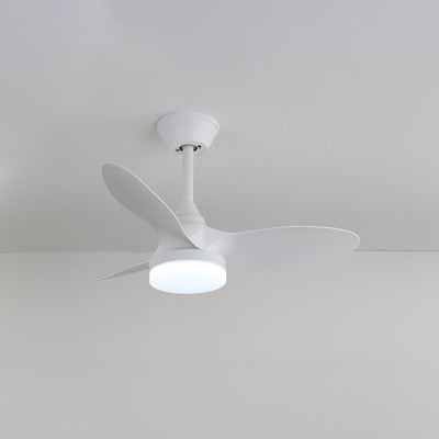 Aelric Modern Ceiling Fan Light