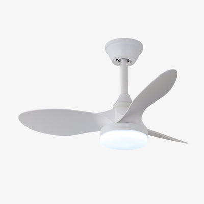 Aelric Modern Ceiling Fan Light