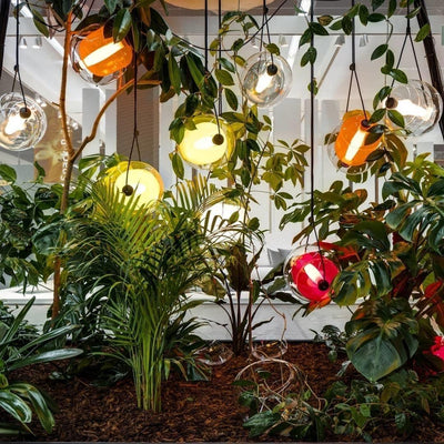 Ovexa Contemporary Glass Pendant Light
