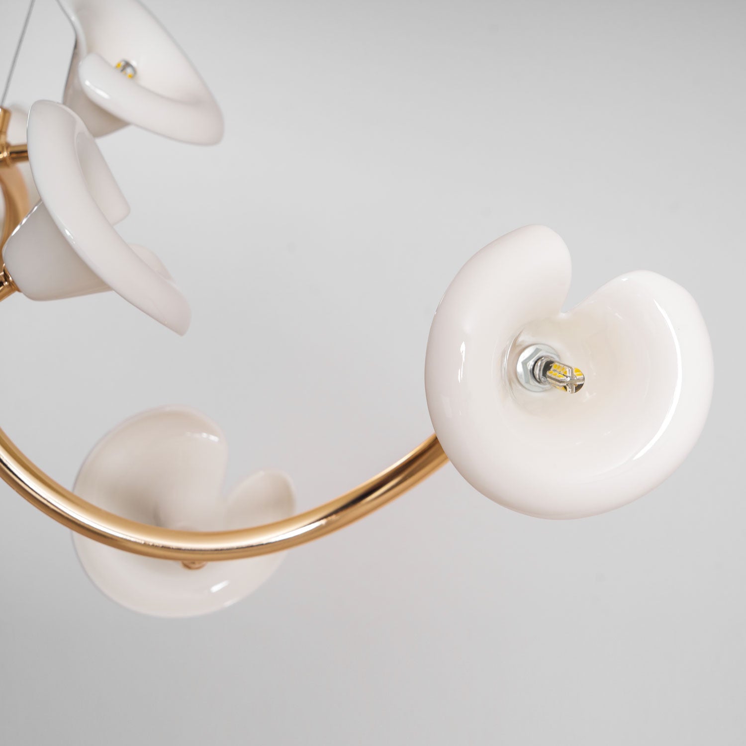Ravenley Blossom Chandelier