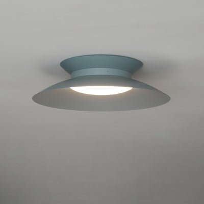Zezoraris Ceiling Light
