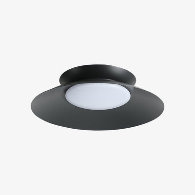 Zezoraris Ceiling Light