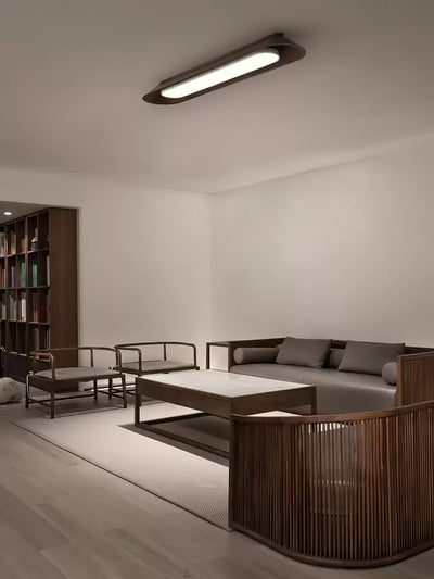 Icarira Modern Minimalist Channel Ceiling Lamp