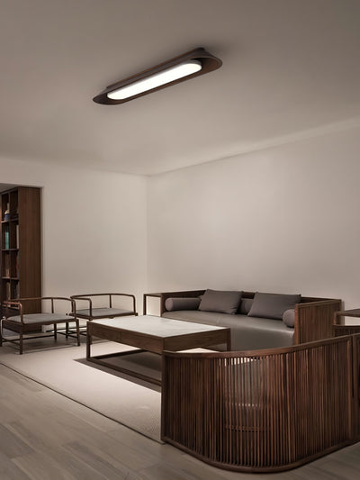 Icarira Modern Minimalist Channel Ceiling Lamp