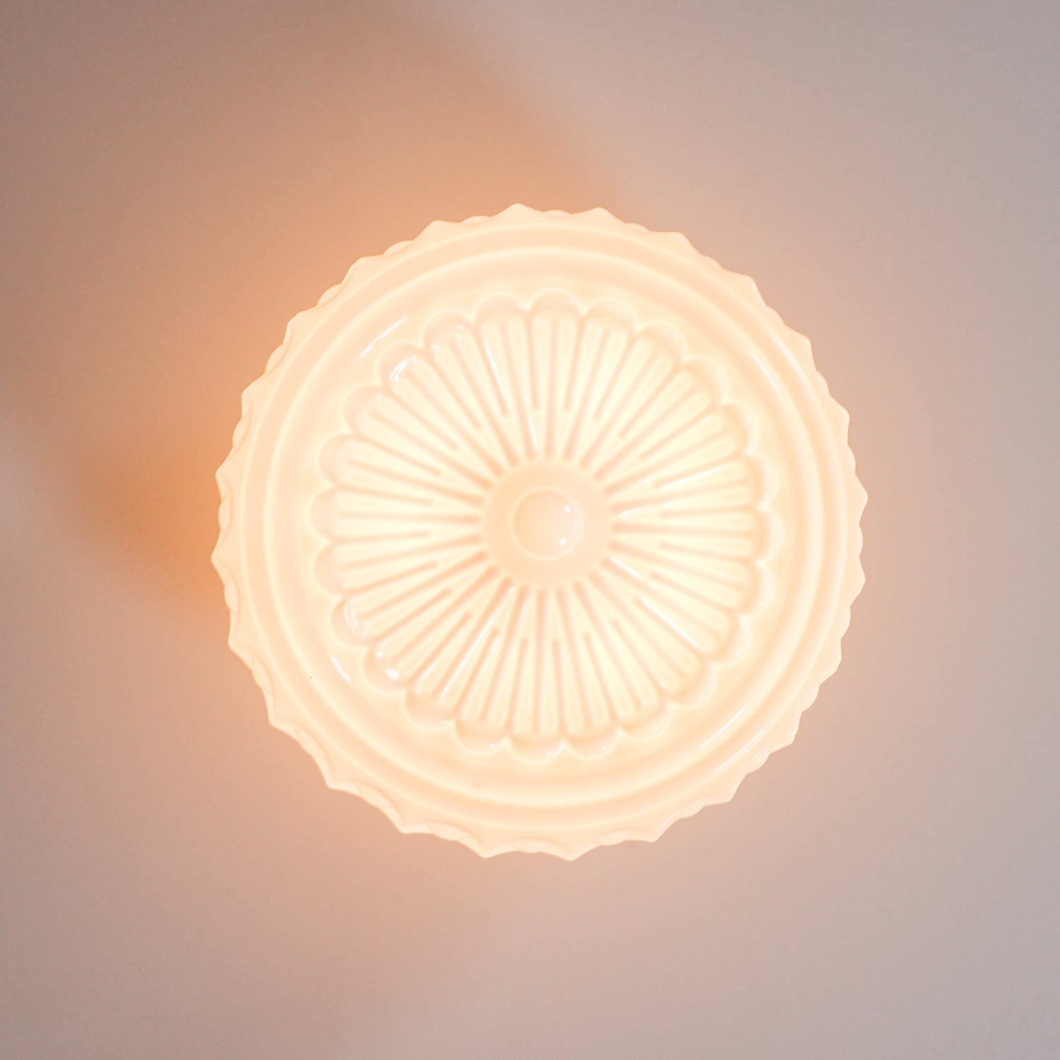 Solara Ceiling Lamp White Glass Floral for Living Room - Neutral Decor