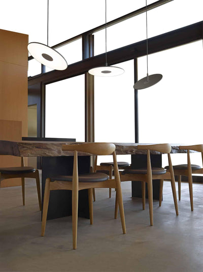 Vosolus Minimalist Pendant Light
