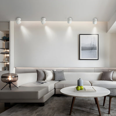 Clara Modern Minimalist Rotating Surface Downlight Ceiling lamp - Neutral Decor