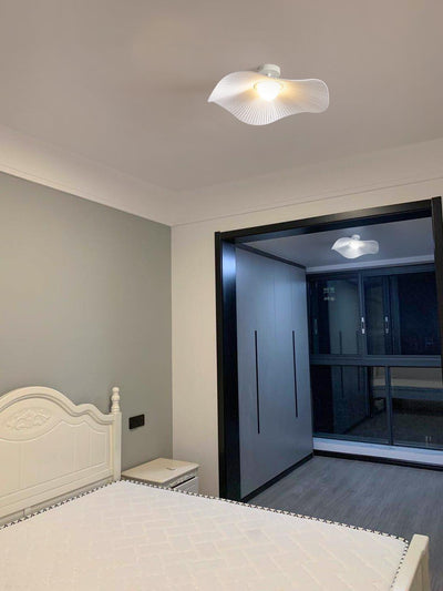 Soreraine Ceiling Light for Cozy Living Room or Bedroom