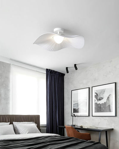Soreraine Ceiling Light for Cozy Living Room or Bedroom
