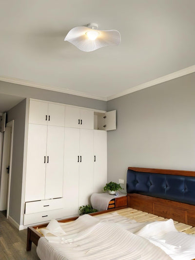 Soreraine Ceiling Light for Cozy Living Room or Bedroom