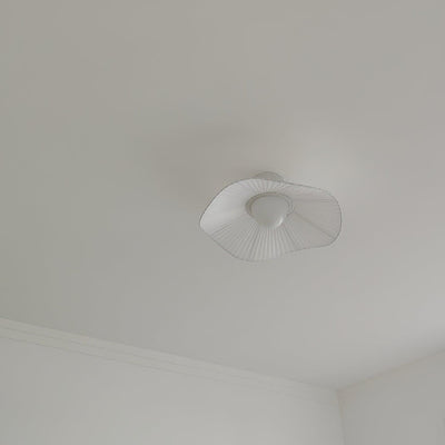 Soreraine Ceiling Light for Cozy Living Room or Bedroom