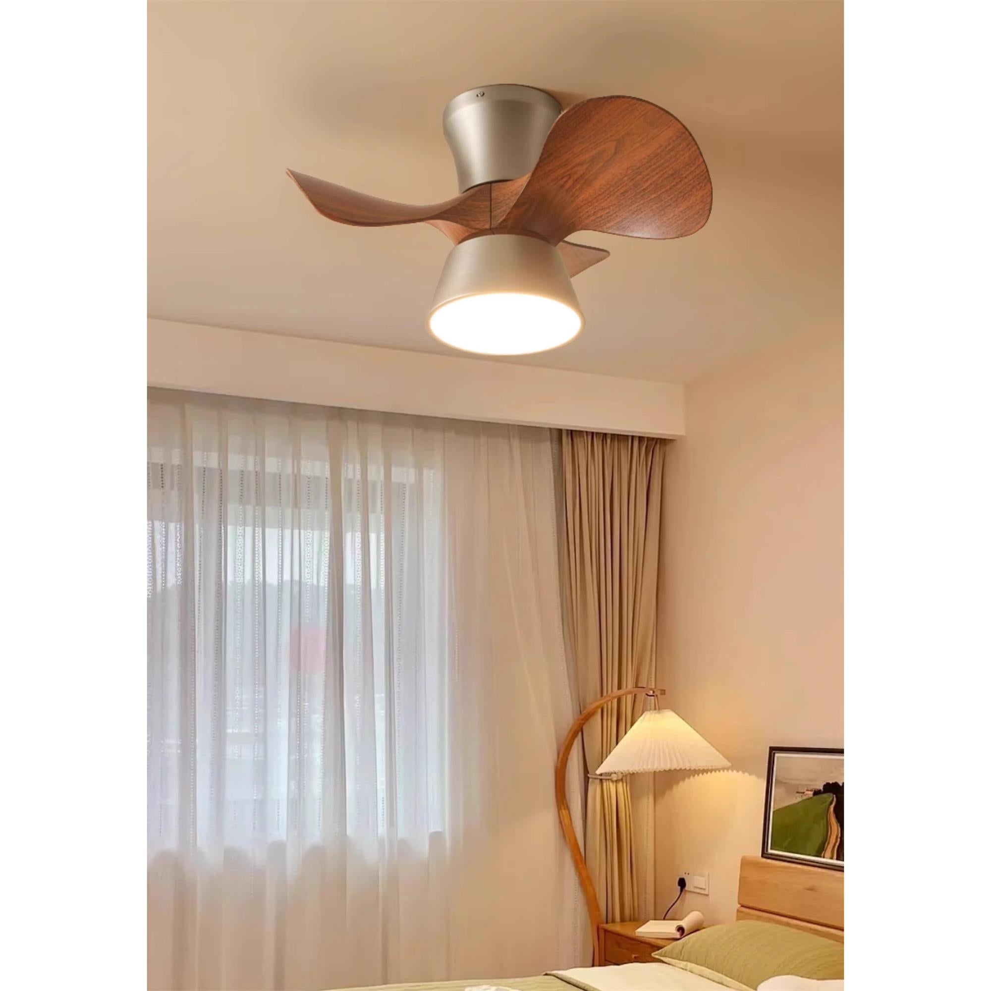 Caluelle Ceiling Fan Light