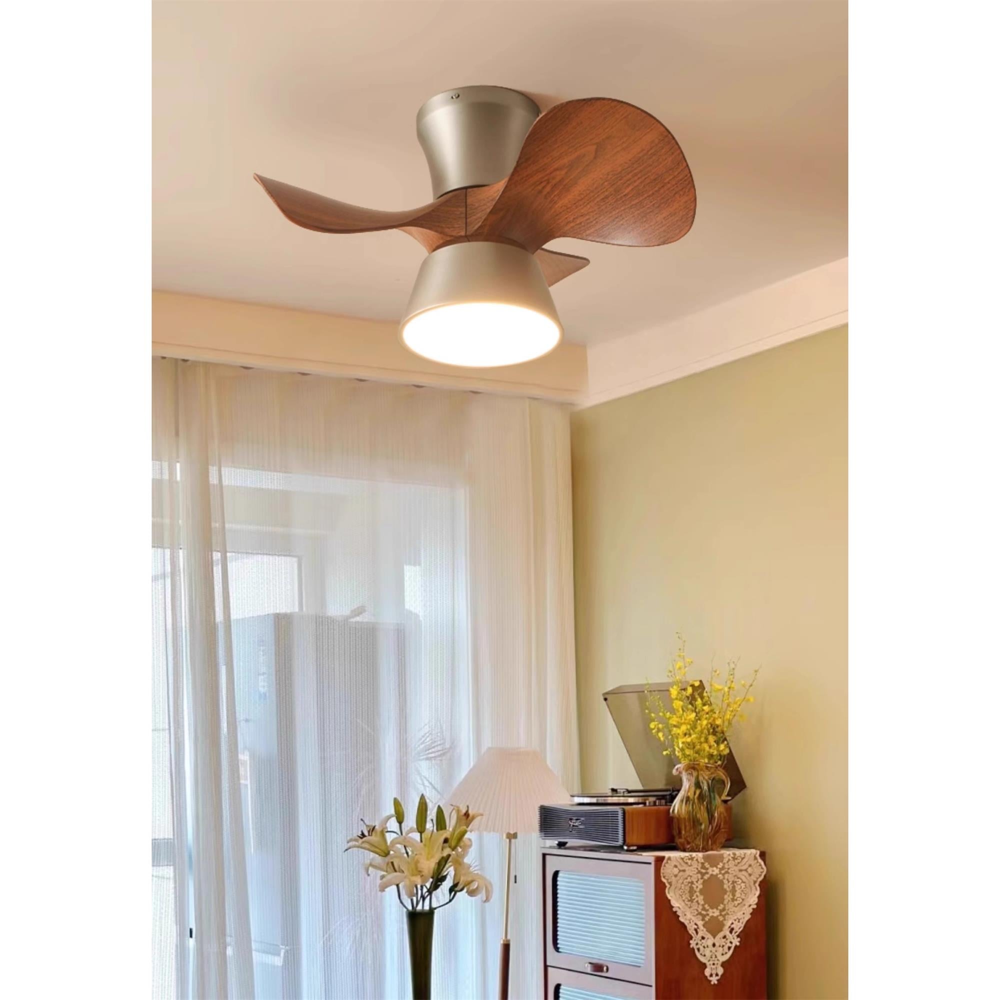Caluelle Ceiling Fan Light