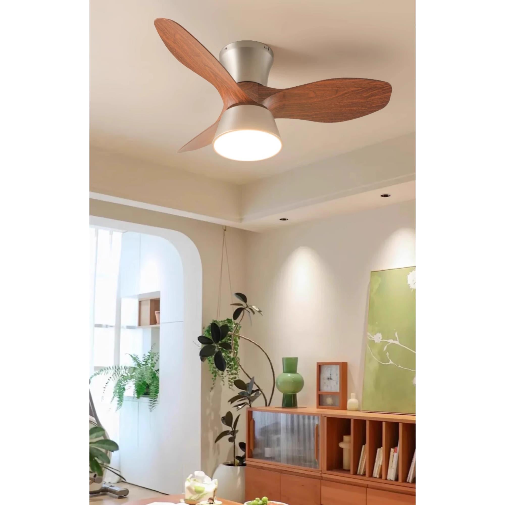 Caluelle Ceiling Fan Light